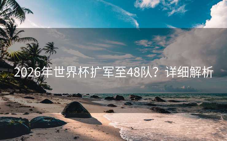 2026年世界杯扩军至48队？详细解析