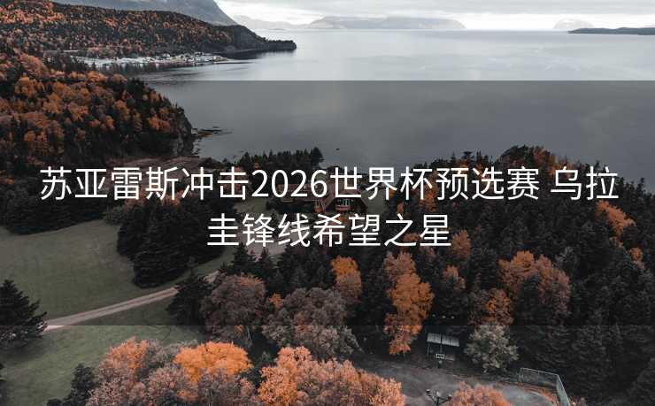 苏亚雷斯冲击2026世界杯预选赛 乌拉圭锋线希望之星